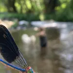 River & Pensjonat 3*
