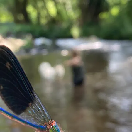 River & Vendégház 3*
