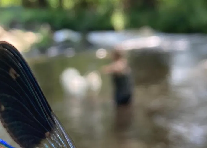 River & Гостевой дом 3*